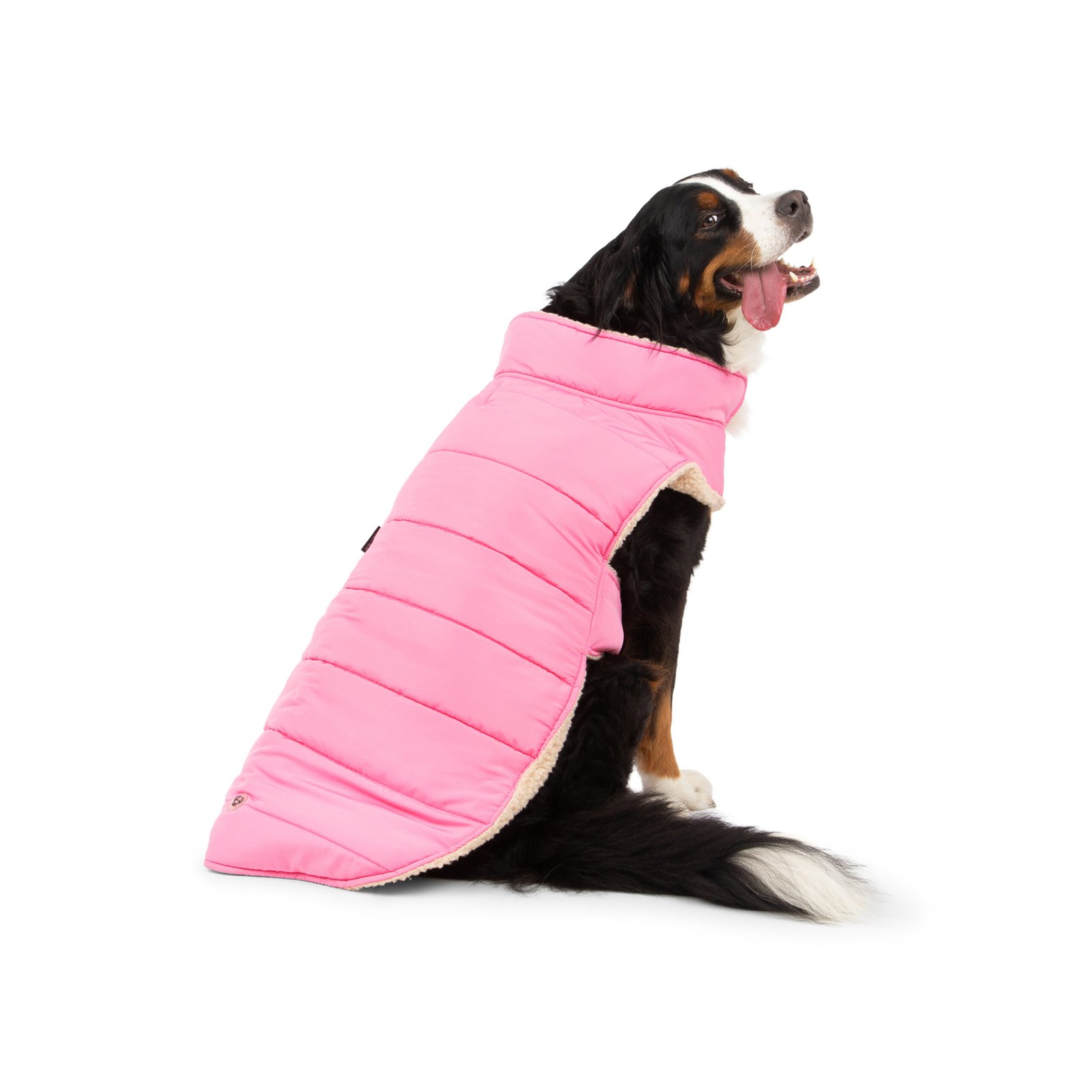 Quilted Dog Jacket, Reversible Design, 2 Colors - Image 2