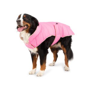 Quilted Dog Jacket, Reversible Design, 2 Colors