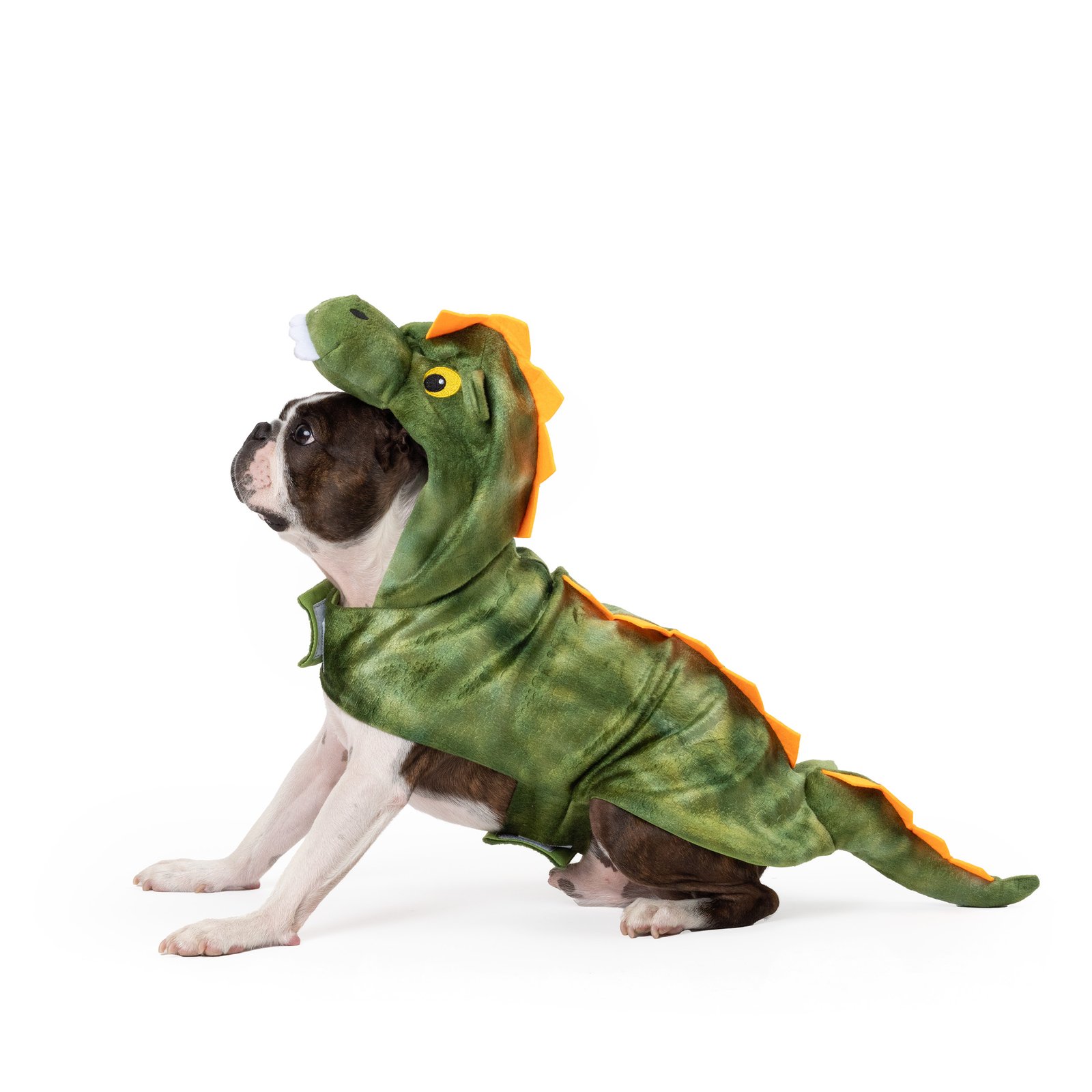Dragon Dog Costume