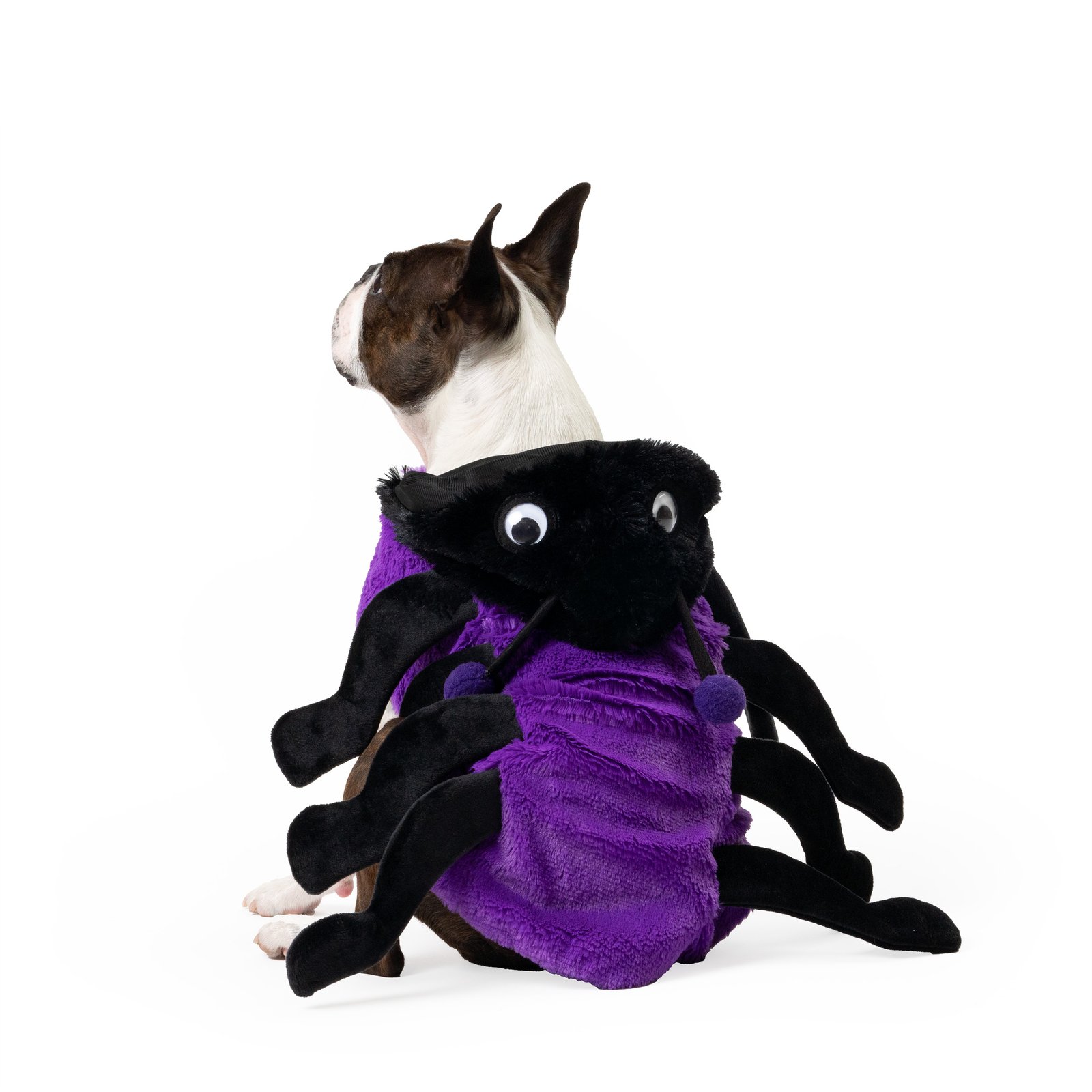 Spider Dog Costume