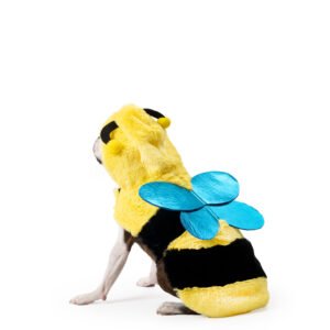Bumble Bee Dog Costume