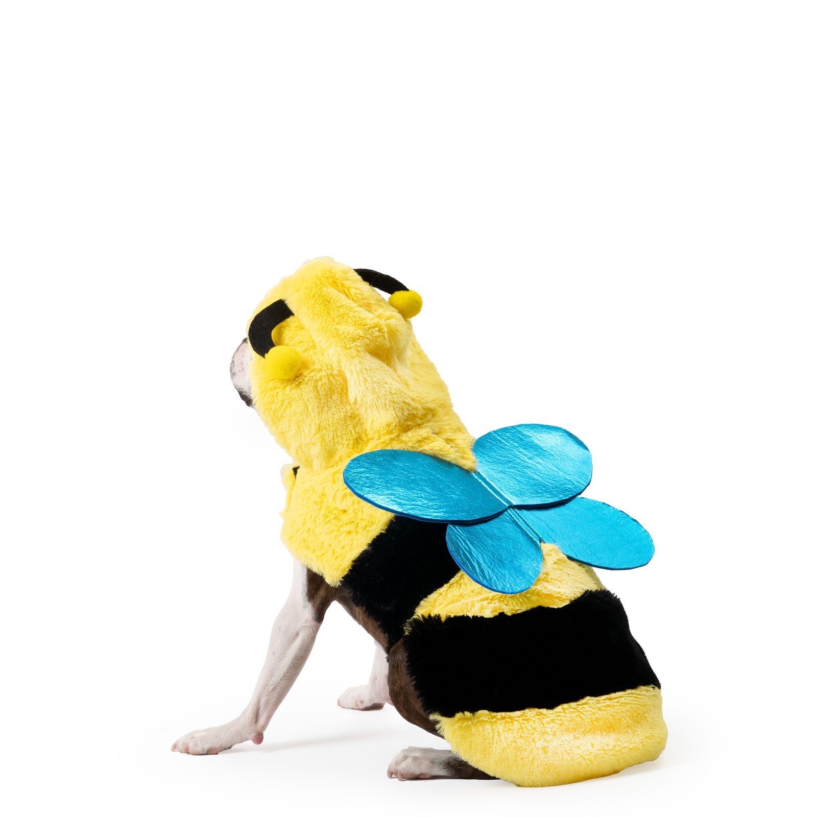 Bumble Bee Dog Costume