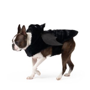 Bat Dog Costume