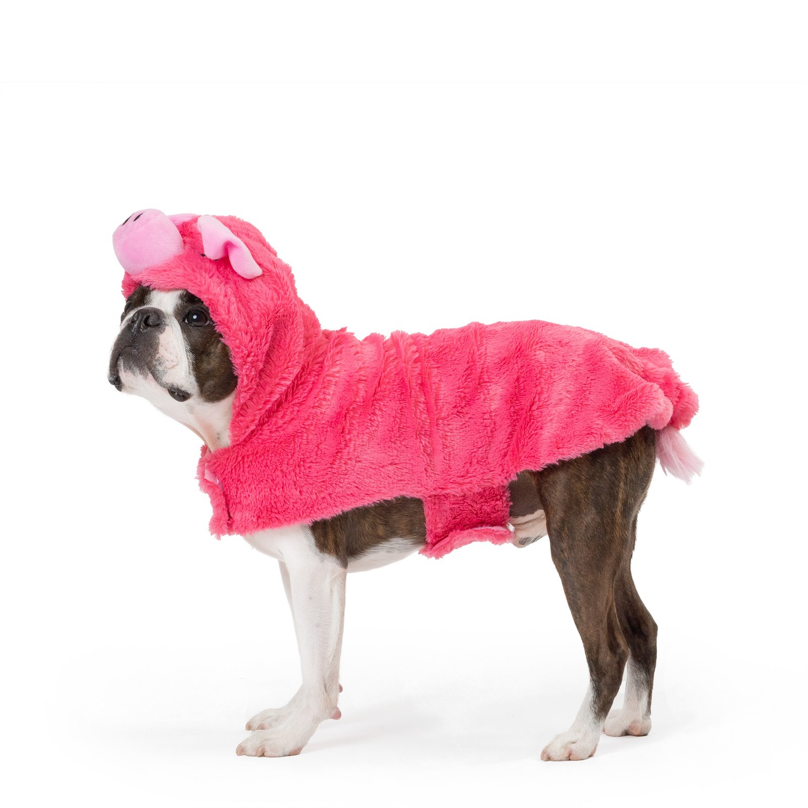 Pig Dog Costume