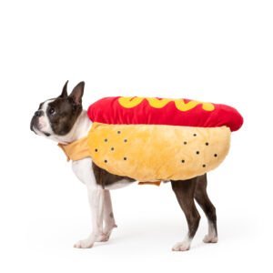 Hotdog Dog Costume