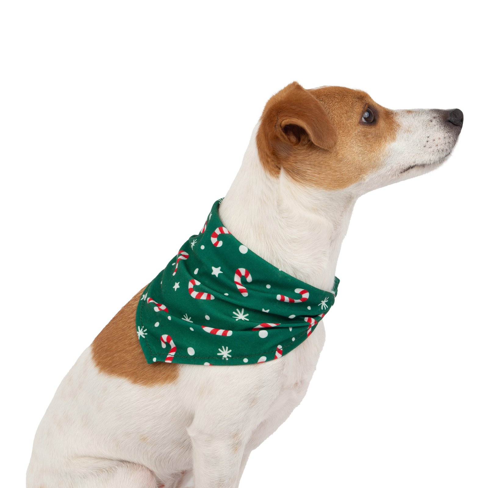 Holiday Bandana, Dog Accessory, Festive fashion wear