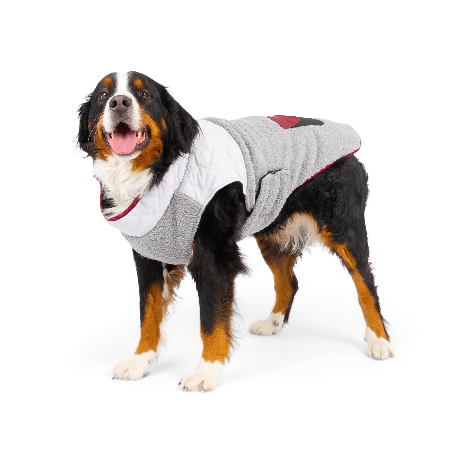 Dog Jacket with Poop Bag Dispenser