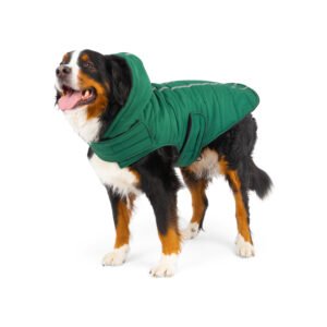 Quilted Winter Dog Jacket