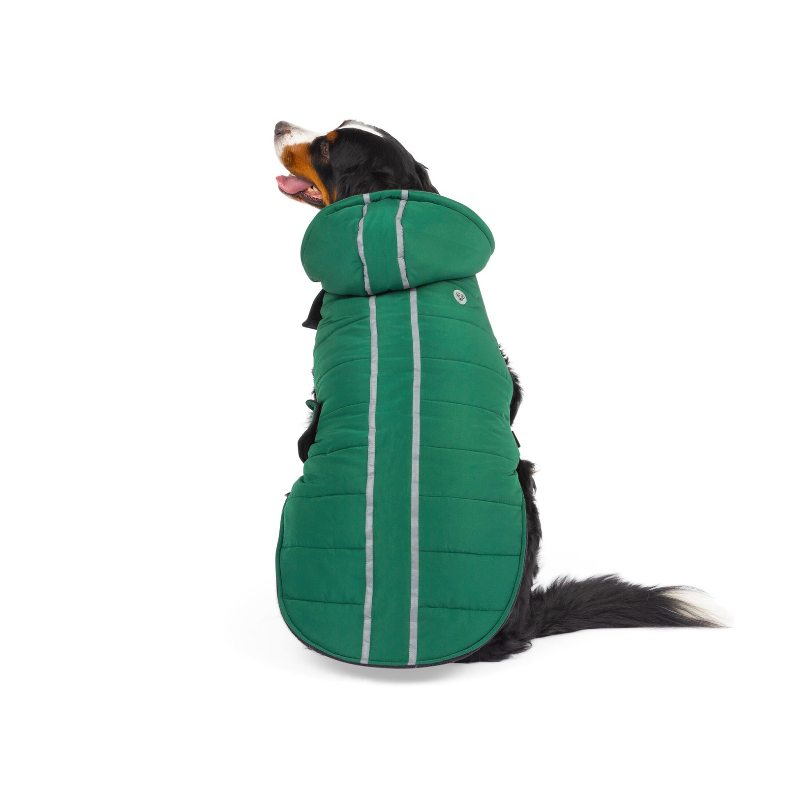 Quilted Winter Dog Jacket - Image 2