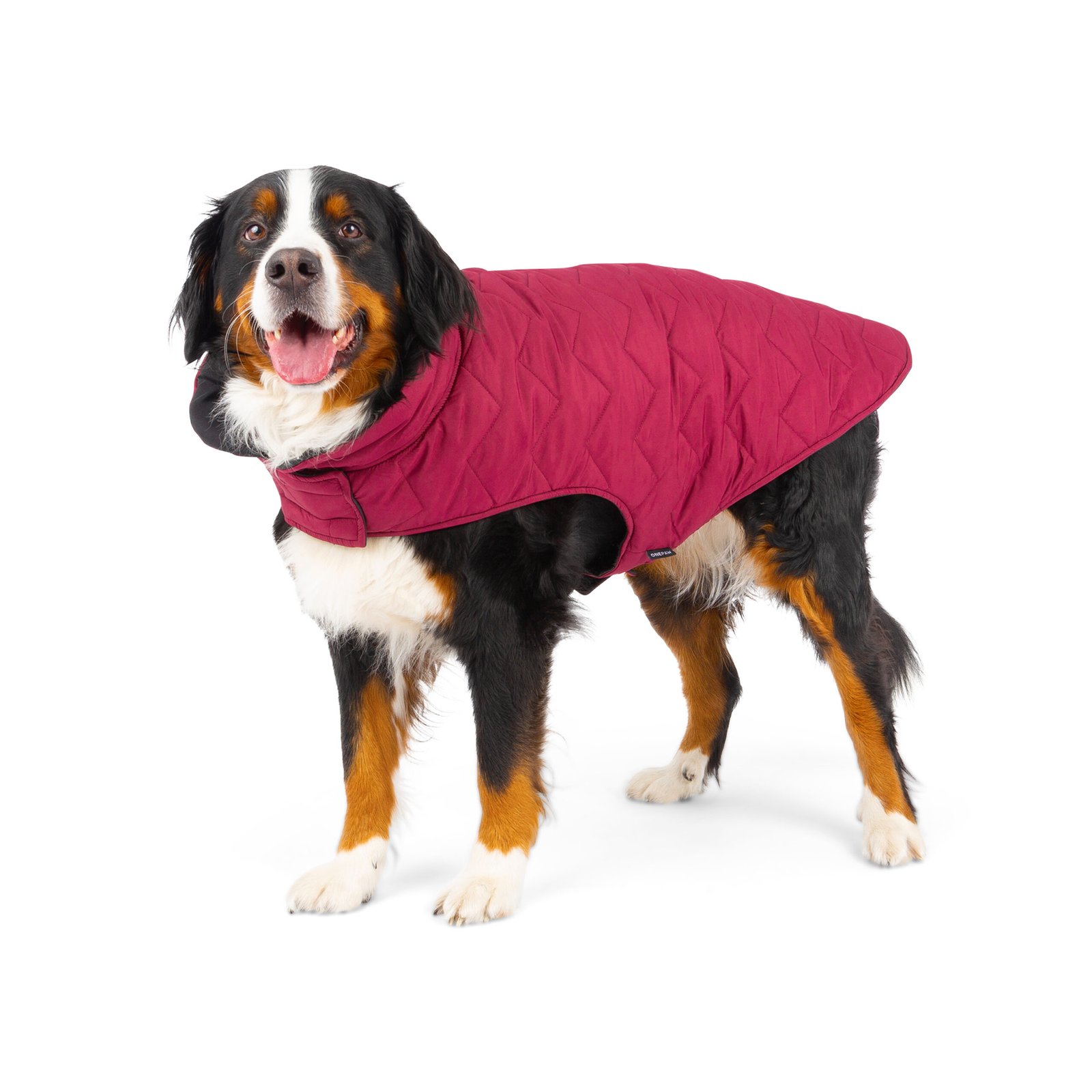 Reversible & Packable Quilted Dog Vest - Image 2