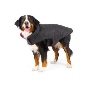 Reversible & Packable Quilted Dog Vest