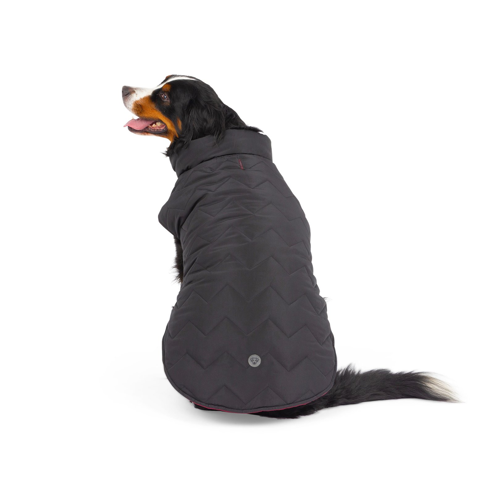 Reversible & Packable Quilted Dog Vest - Image 7