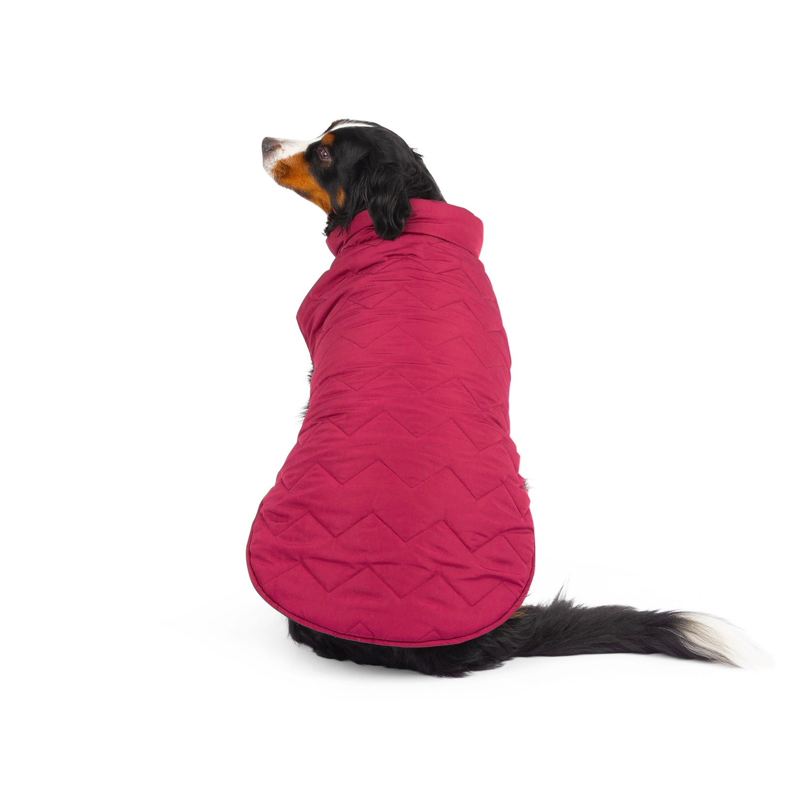 Reversible & Packable Quilted Dog Vest - Image 6