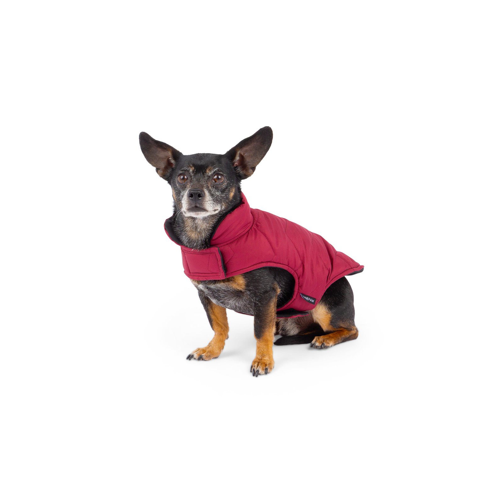 Reversible & Packable Quilted Dog Vest - Image 4