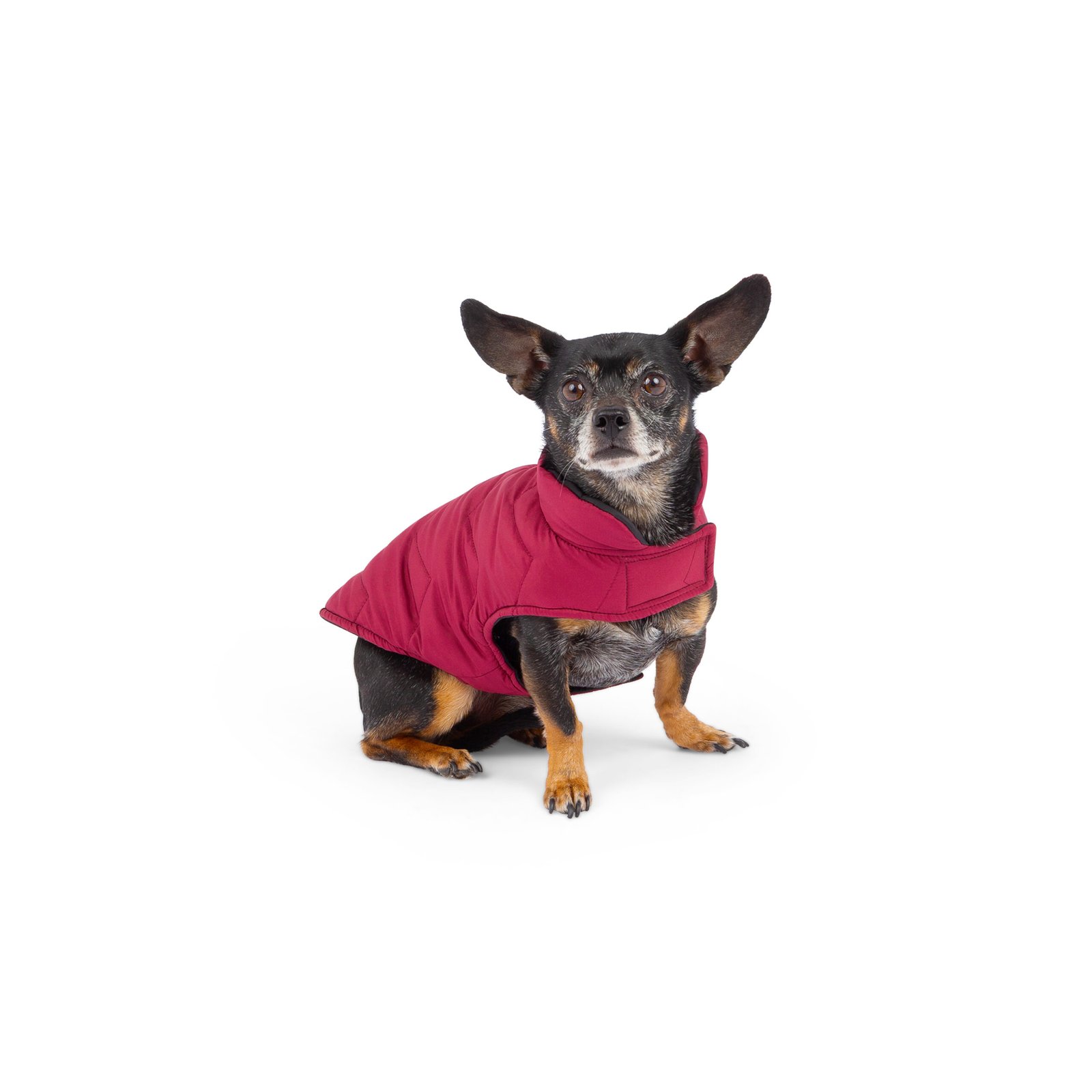 Reversible & Packable Quilted Dog Vest - Image 5