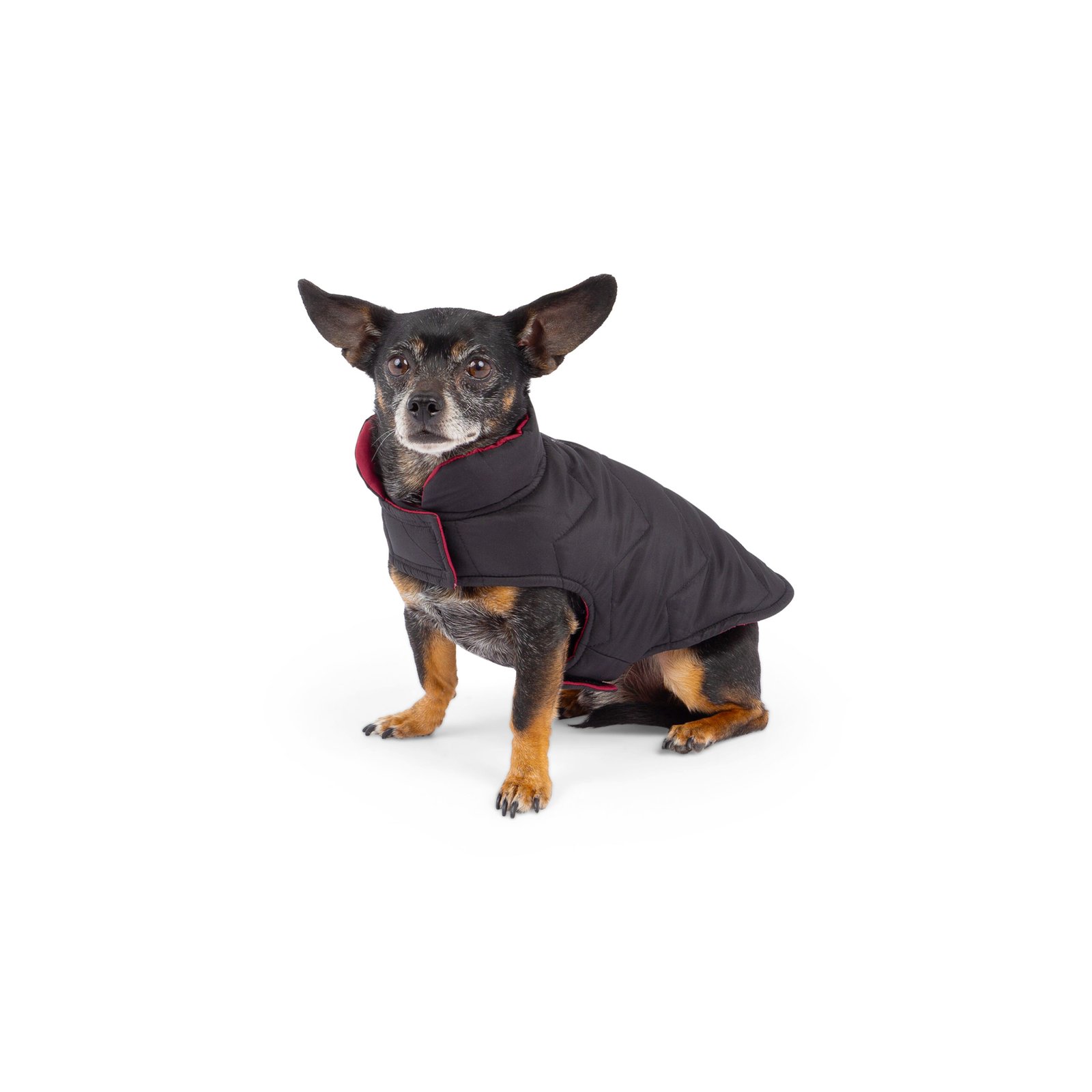 Reversible & Packable Quilted Dog Vest - Image 3