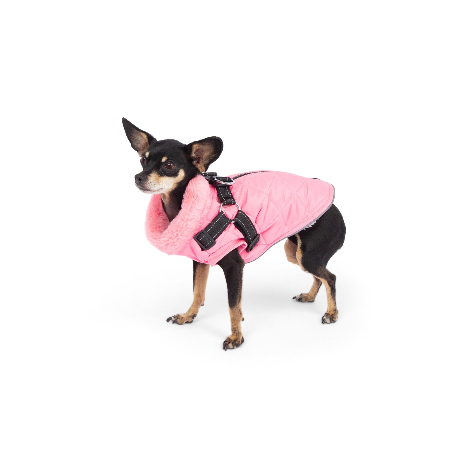 Light Quilted Dog Vest with Harness, Pink - Image 4