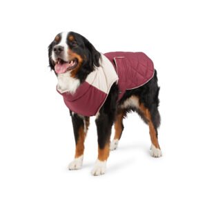 Quilted Water-Resistant Dog Jacket for Large Breeds, 2XL to 4XL