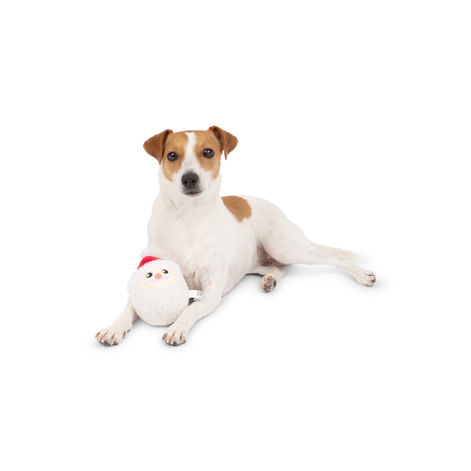 Santa Ball Toy, Dog Toy, Holiday squeaker fun - Image 4