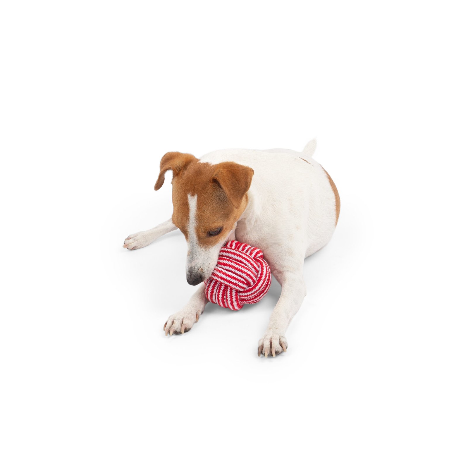 Rope Ball, Dog Toy, Durable rope chewing play - Image 3
