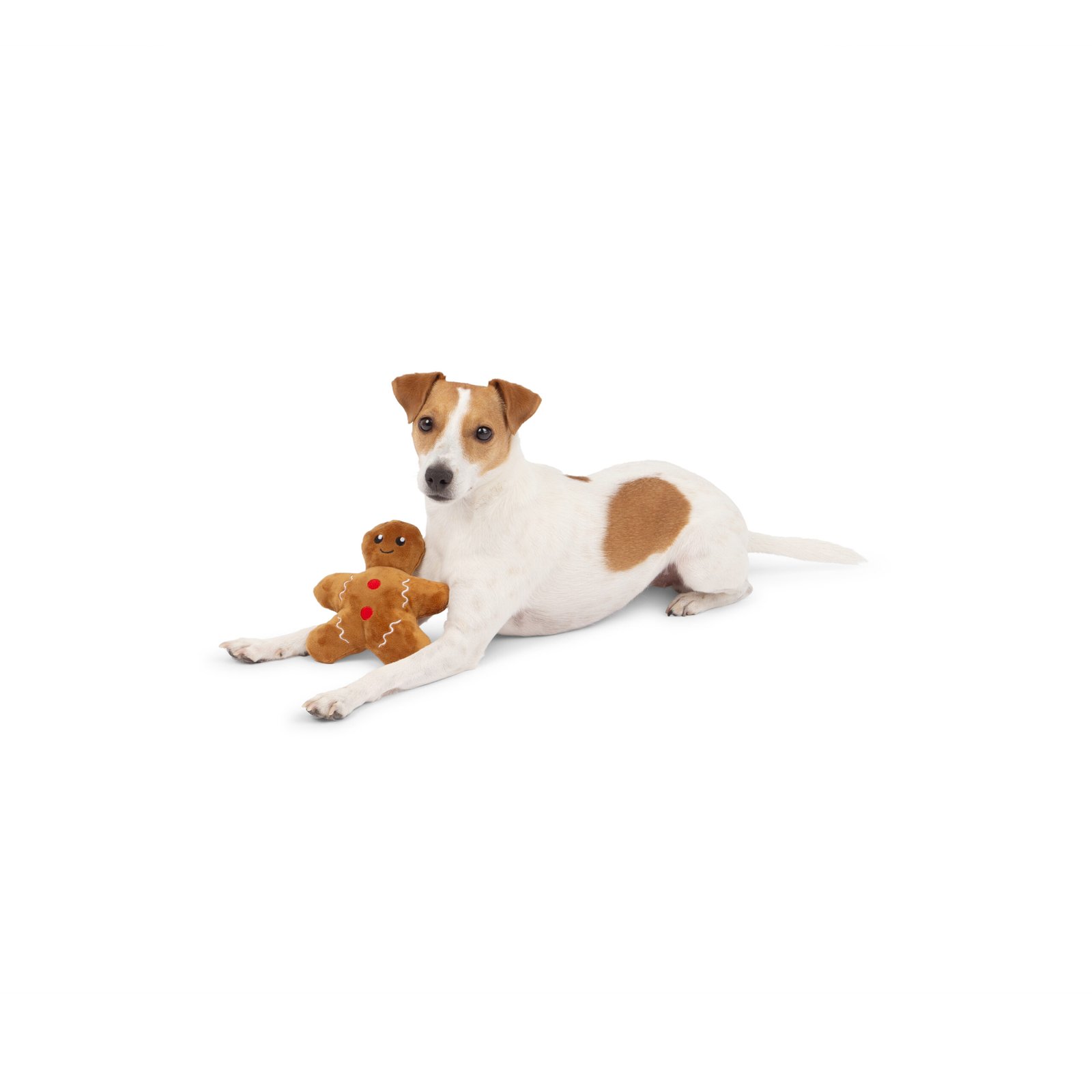 Holiday Gingerbread Plush Dog Toy, Soft plush holiday friend - Image 4