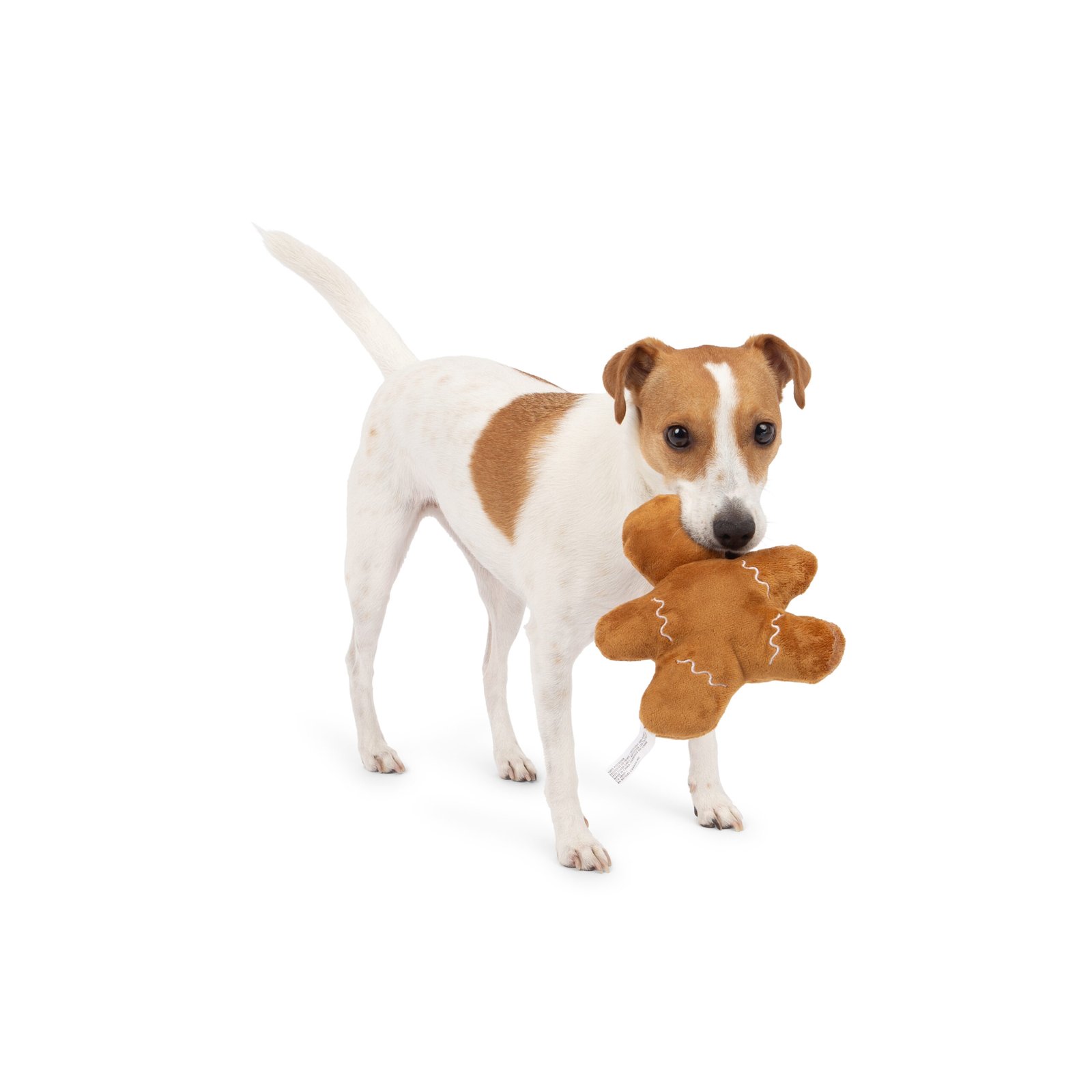 Holiday Gingerbread Plush Dog Toy, Soft plush holiday friend - Image 3