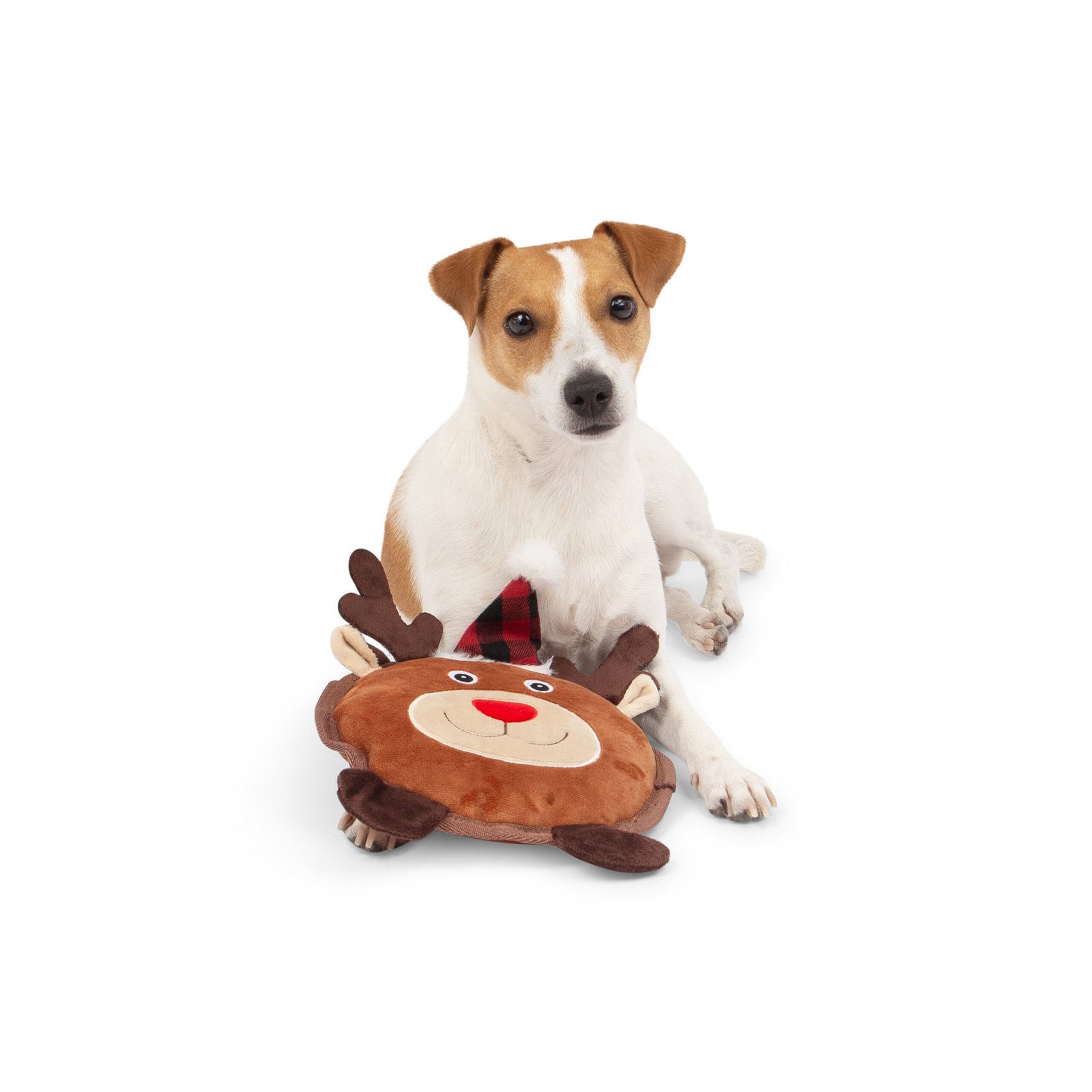 Reindeer Flat Dog Toy - Image 4