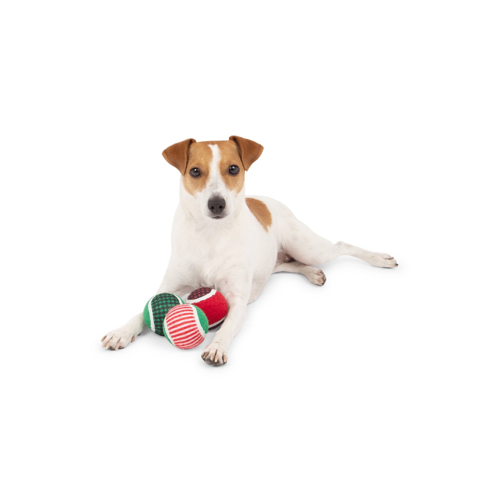 Candy Cane Holiday Tennis Ball Set For Dogs - Image 4