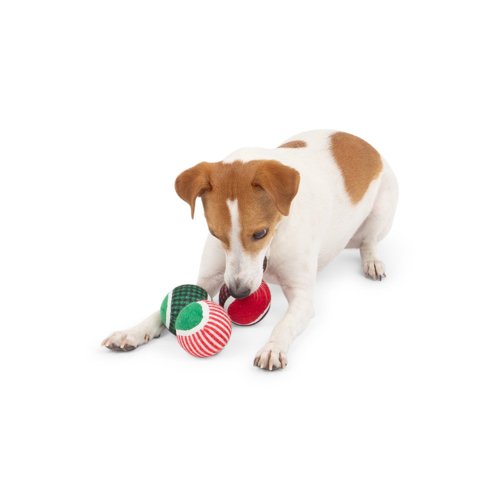 Candy Cane Holiday Tennis Ball Set For Dogs - Image 3