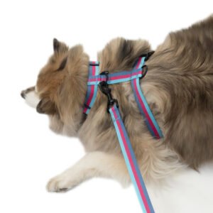 3-Pack Dog Harness and Leash Set