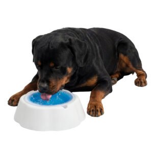 Cooling Dog Bowl, Multiple Colors