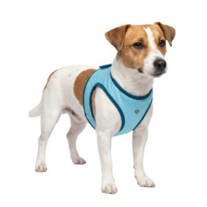 Cooling Vest for Dogs