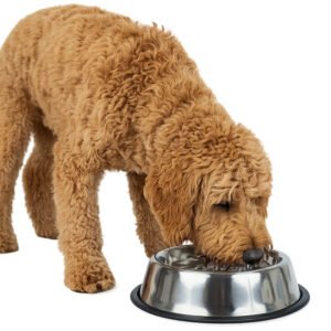 Large Stainless Steel Dog Bowl