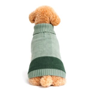 Sage Combo Striped Dog Sweater