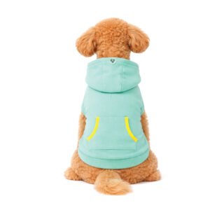 Teal Hooded Dog Hoodie