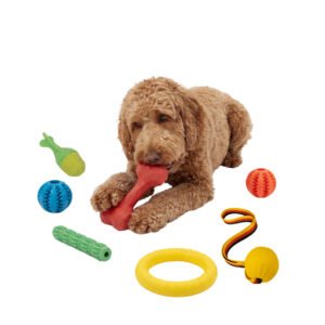 8-Pack Toy Set Bucket