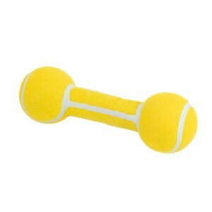 Barbell Dog Toy
