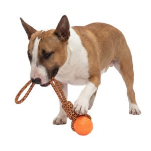 Tug Rope & Ball Dog Toy, Multiple Colors