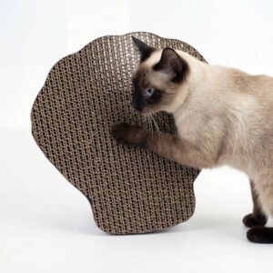 Sea Shell Cat Scratcher