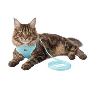 Cat Harness & Leash Set