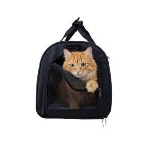 Soft Carrier Pet Bag