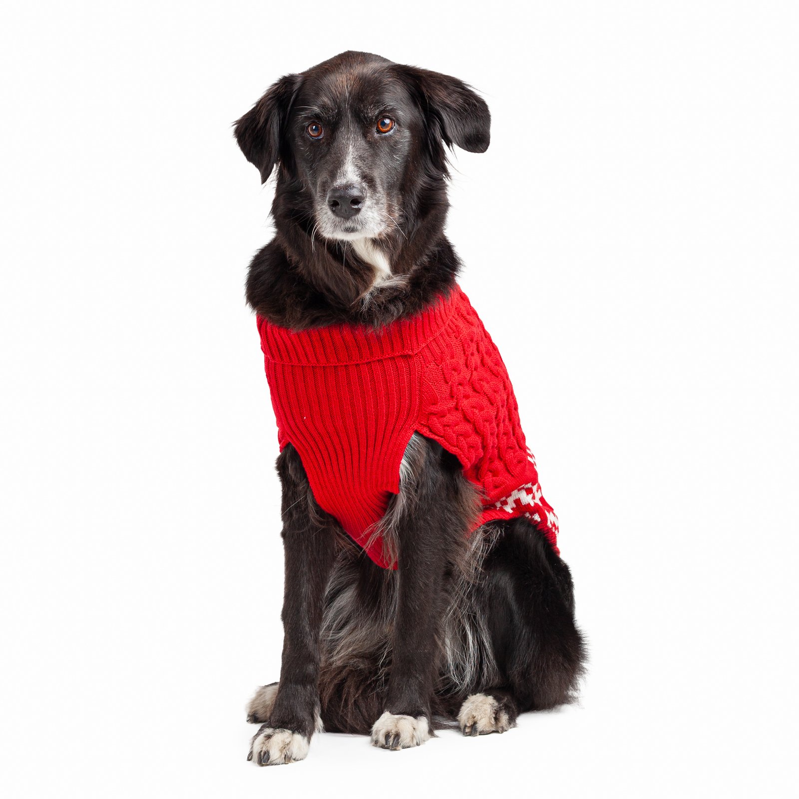Cottage Chunky Dog Sweater - Image 3