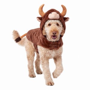 Bull Dog Costume