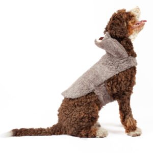 Sloth Dog Costume
