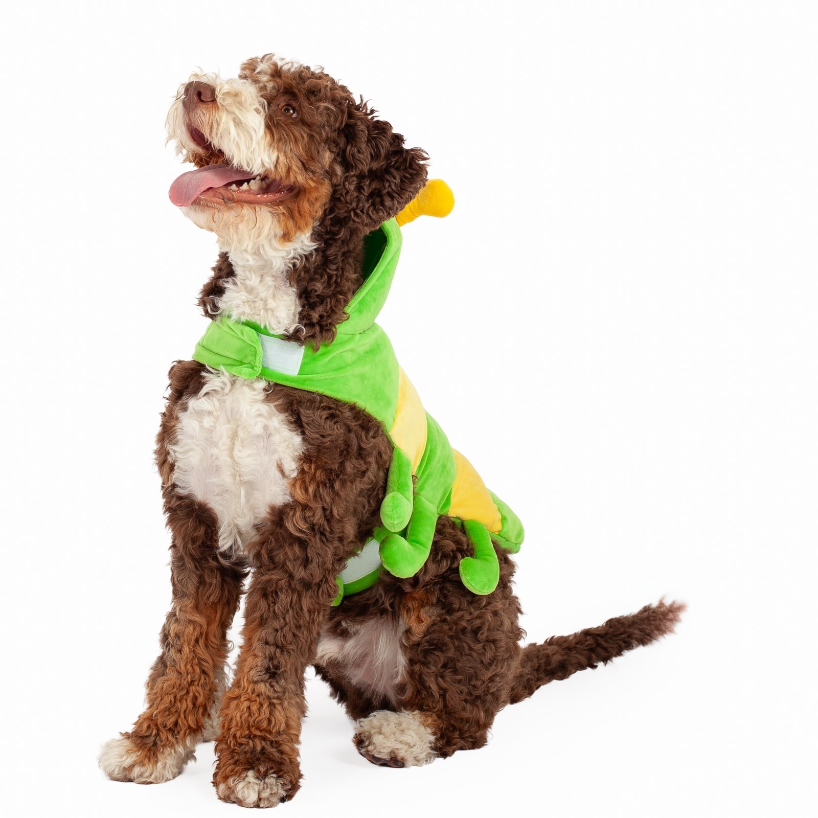 Caterpillar Dog Costume - Image 2