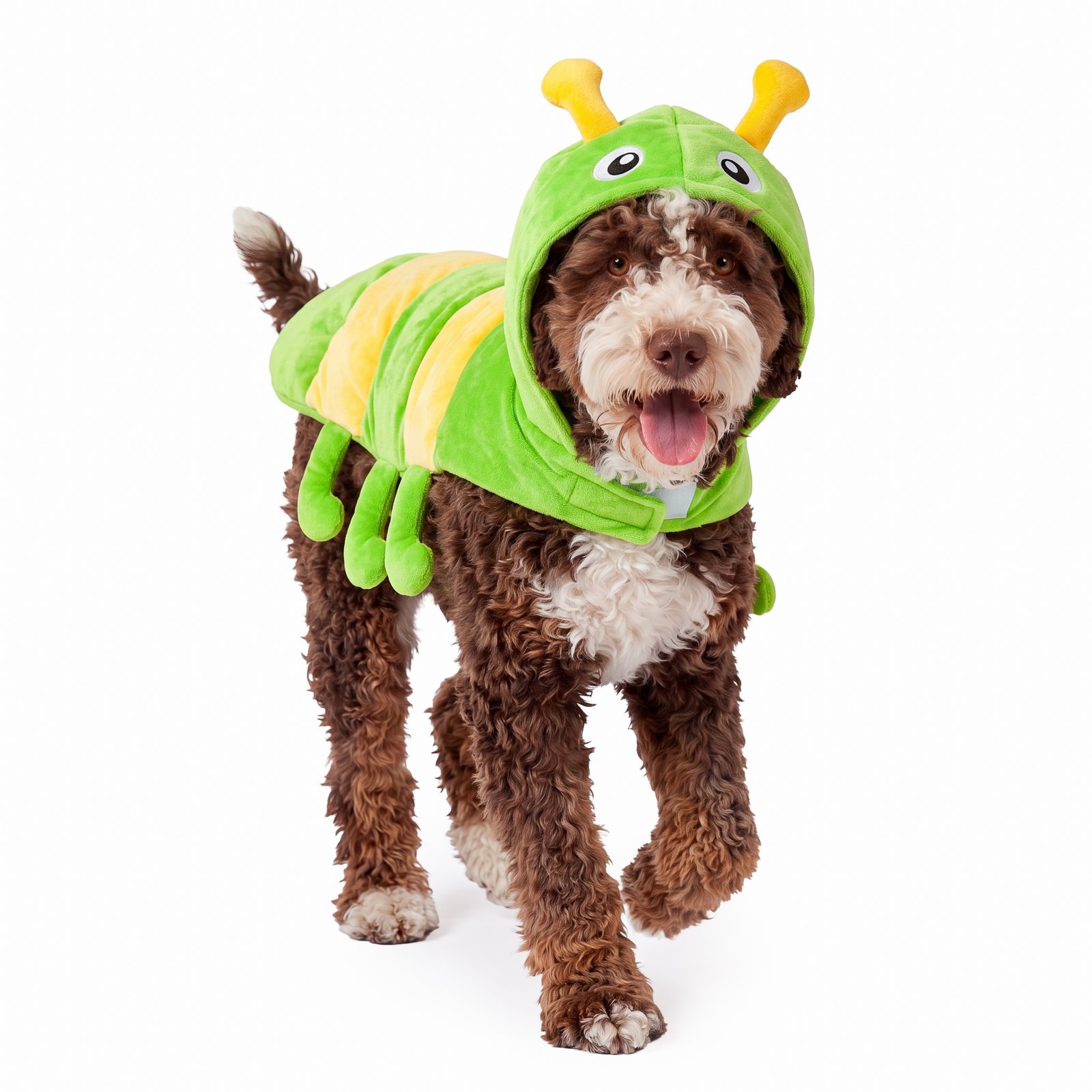 Caterpillar Dog Costume